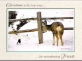Christmas is the best time for remembering friends_81A Curious Innocence