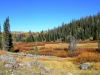 260 A   Mountain Meadow